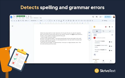 ดาวน์โหลด SkrivaText ส่วนขยาย Chrome ช่วยตรวจคำผิดและไวยากรณ์ฟรี - Screenshot 1