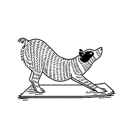 ดาวน์โหลด Find What Feels Good Yoga แอปฝึกโยคะและทำสมาธิที่ดีที่สุด