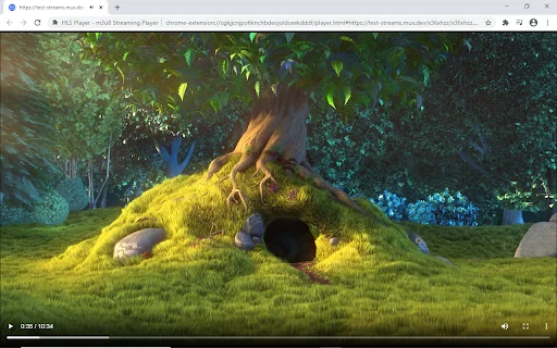 ดาวน์โหลด HLS Player สำหรับ Chrome – เล่นไฟล์ m3u8 ได้อย่างรวดเร็วและฟรี - Screenshot 2