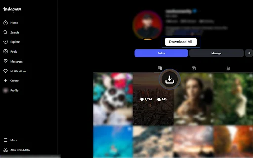 Instagram Downloader – ดาวน์โหลดวิดีโอ Reels และ Story ฟรี - Screenshot 3