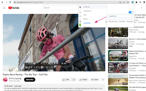 ดาวน์โหลด Auto Translate for YouTube™ – แปลซับวิดีโออัตโนมัติฟรี - Screenshot 3