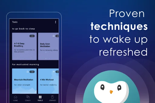 ดาวน์โหลด Wysa แอปช่วยนอนหลับและทำสมาธิฟรี – คลายเครียดได้ดีที่สุด - Screenshot 4