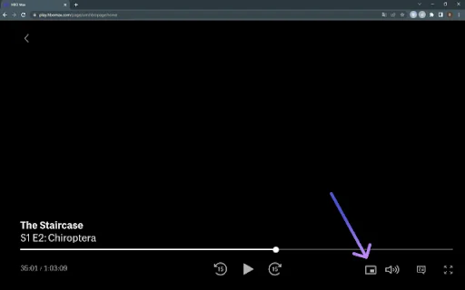 ดาวน์โหลดส่วนขยาย Netflix Picture in Picture – ดูวิดีโอแบบลอยฟรี - Screenshot 3