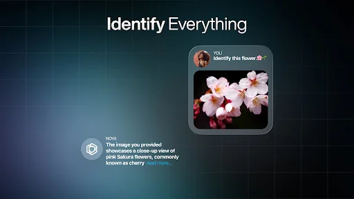 ดาวน์โหลด AI Chatbot – Nova ล่าสุด – ผู้ช่วยอัจฉริยะใช้งานง่าย ฟรี - Screenshot 38